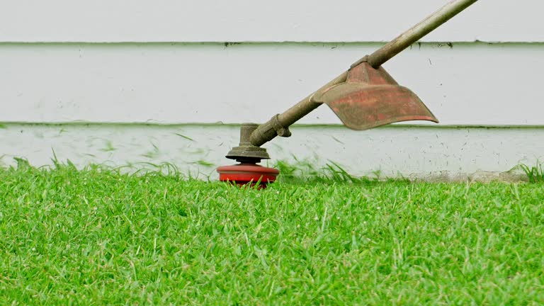 Grass Overseeding in North Beach Haven, NJ