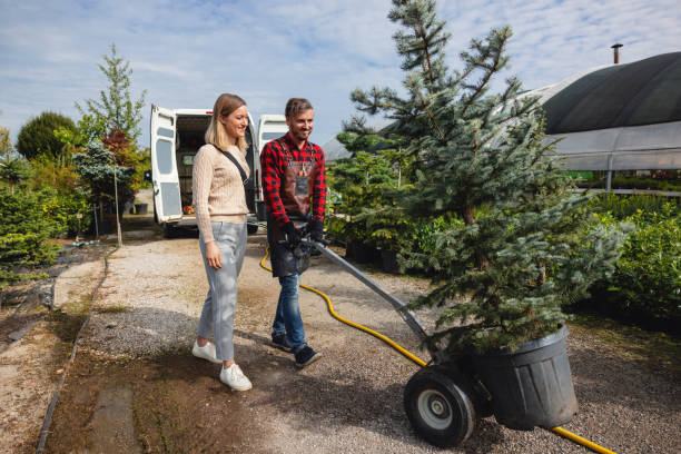 How Our Tree Care Process Works  in  North Beach Haven, NJ